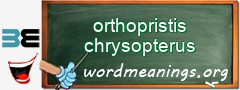 WordMeaning blackboard for orthopristis chrysopterus